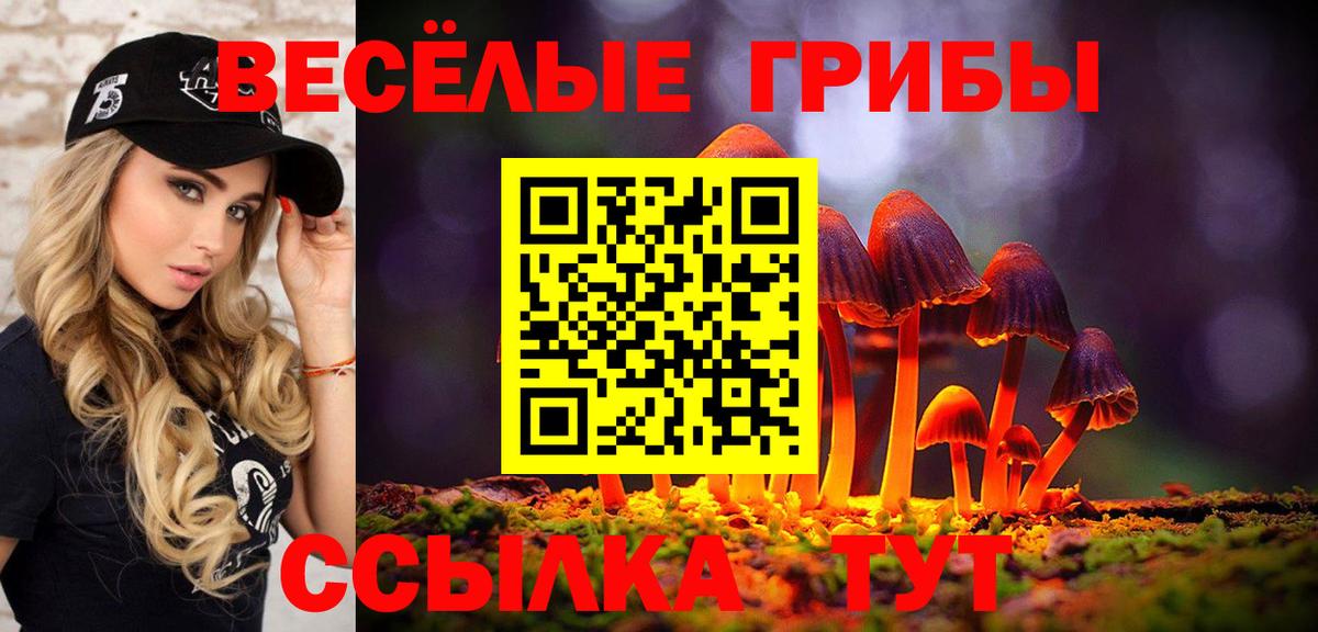 Псилоцибиновые грибы ЛСД  Вход с VPN  Хабаровск  Псилоцибиновые грибы Psilocybe 